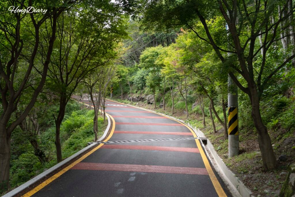 Cheonmasan Observatory Busan uphill walk trail