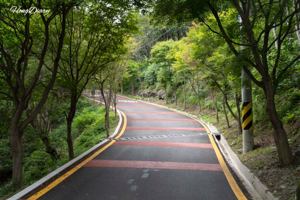 天馬山複合展望台 上り坂 アクセス道