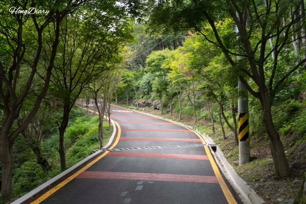 Camino subida mirador Cheonmasan Busan 40 minutos