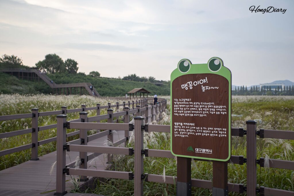 Wooden boardwalk deck path at the entrance to Daemyeong Reservoir eco trail near Dalseong Wetland