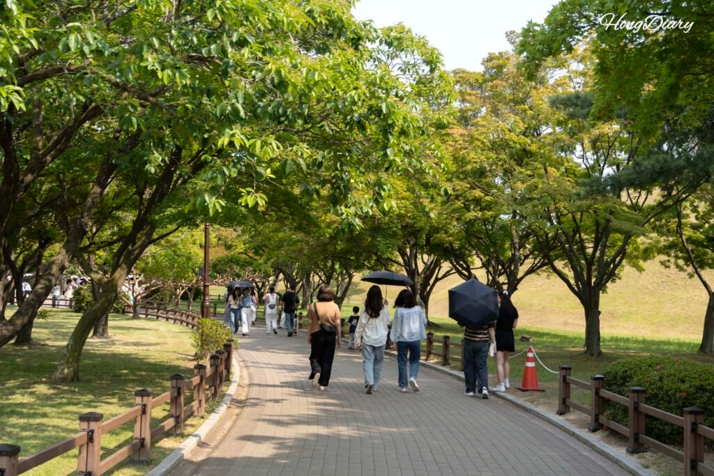 Sendero de piedra frente al Complejo de Tumbas Daereungwon en Gyeongju durante la tarde