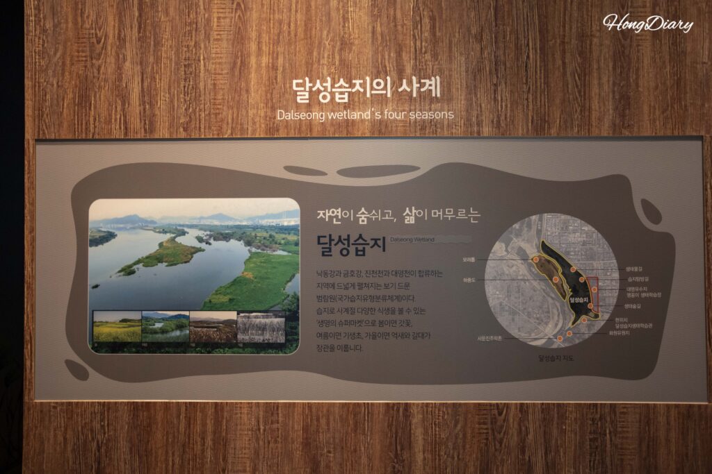 Seasonal overview display of Dalseong Wetland showing bird migrations, water levels, and plant cycles