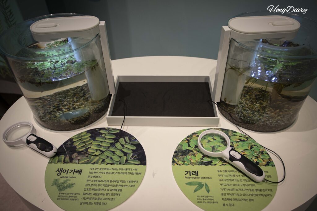 Wetland plant exhibition inside the Dalseong Wetland Eco Learning Center
