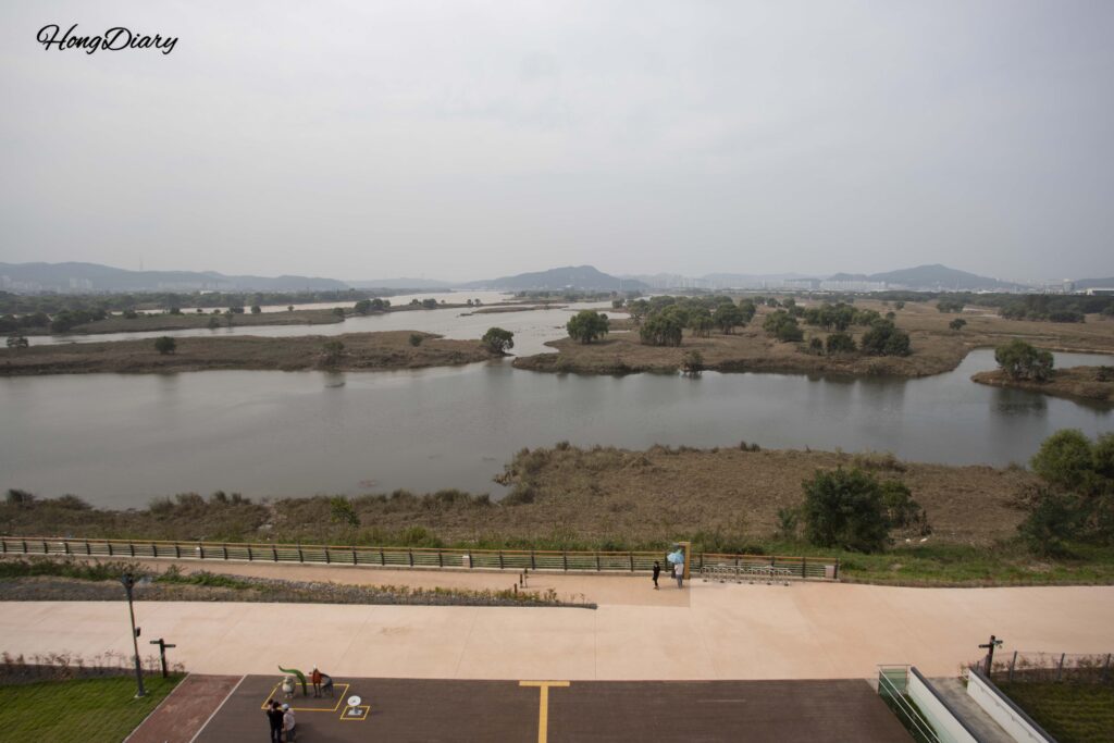 Panoramic view of Dalseong Wetland from the rooftop observation deck of the Eco Learning Center