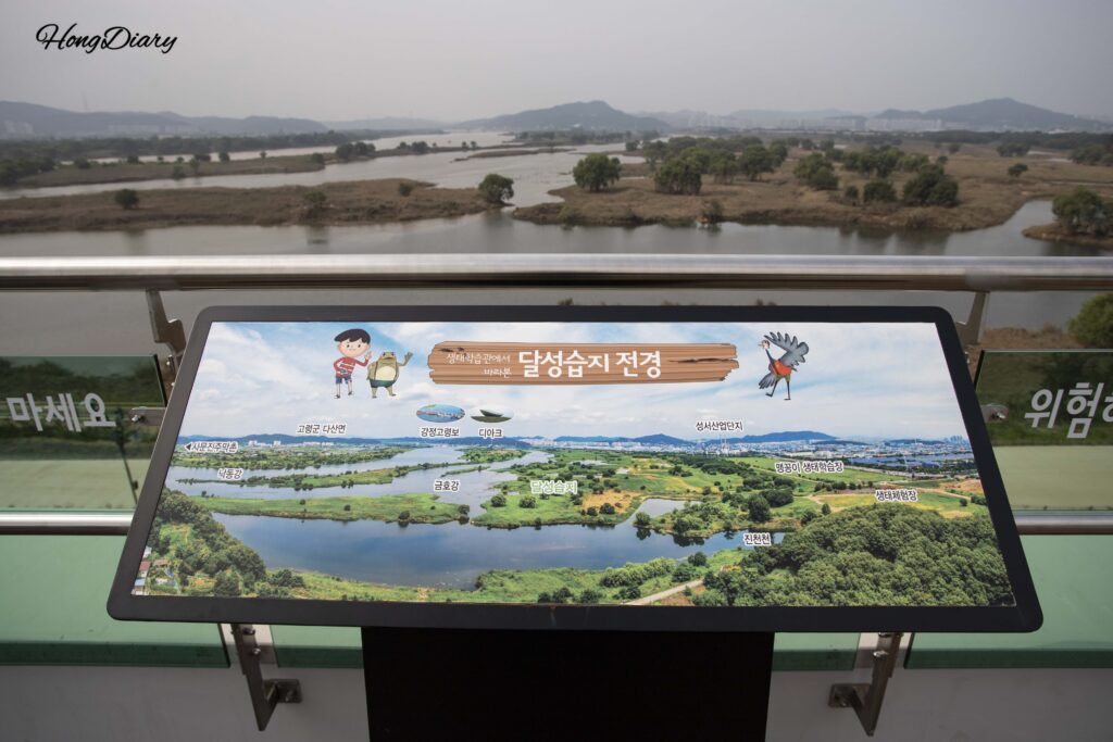 達城湿地生態学習館の屋上展望台から見た達城湿地の全景