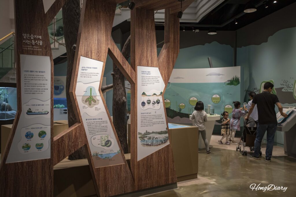 Wildlife exhibition at the Dalseong Wetland Eco Learning Center showing wetland species models and information