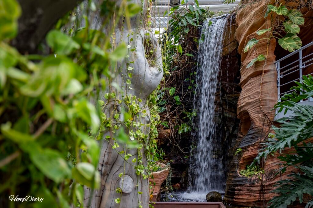 Artificial waterfall and papyrus plants in the Aquatic Garden section of Donggungwon, Gyeongju