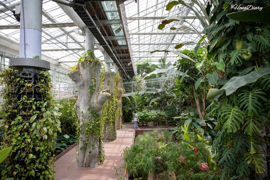 慶州東宮苑本館の植物園。テーマ別に分かれた熱帯・亜熱帯の植物展示