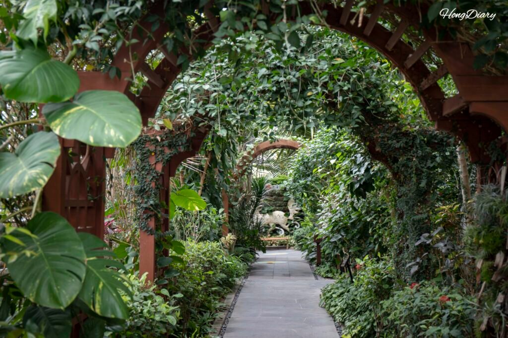 Tropical and subtropical plants growing inside the Main Hall of Donggungwon botanical garden in Gyeongju