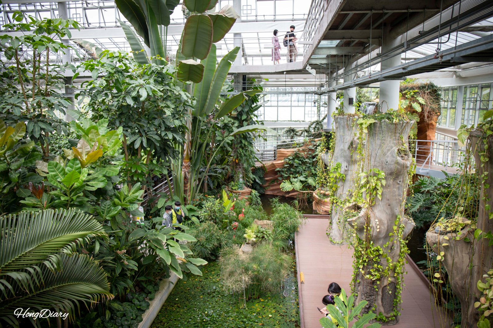 Plantas tropicales y subtropicales dentro del Edificio Principal del jardín botánico Donggungwon, Gyeongju