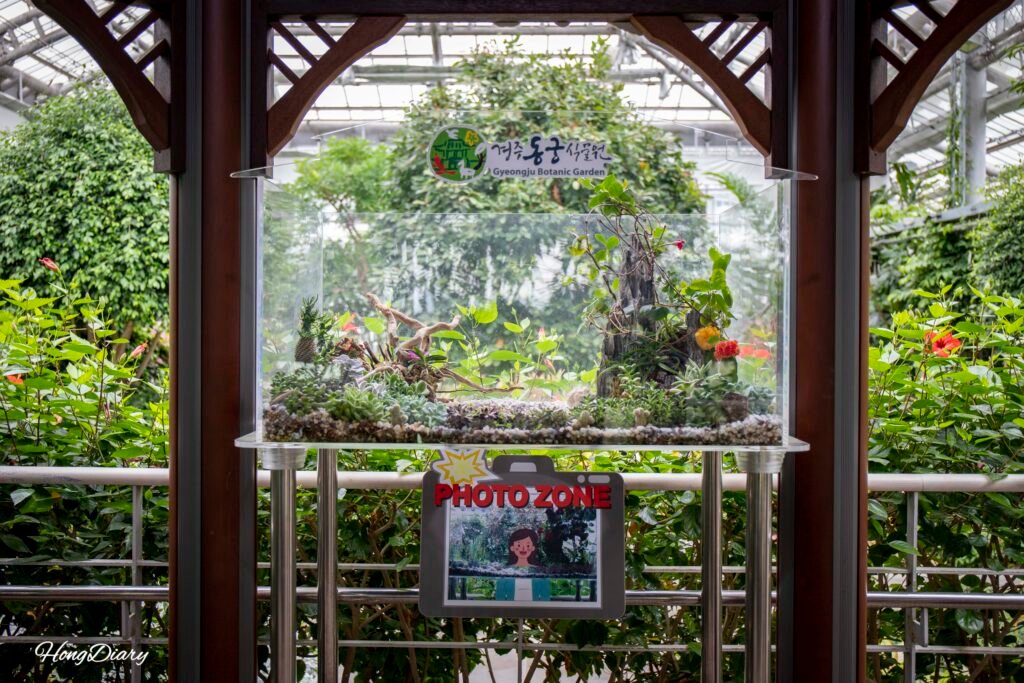 Close-up of tropical plants and informational placards inside Donggungwon greenhouse, Gyeongju