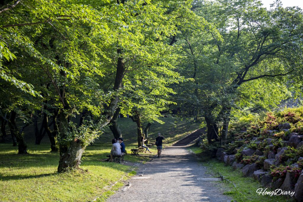 Visitantes caminando entre árboles de hojas verdes en el sendero del Embalse de Beopgi, Yangsan