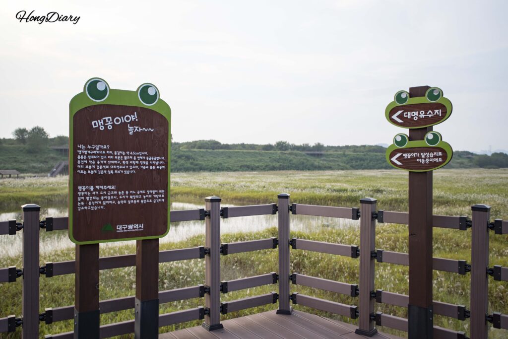 Sendero de madera en la entrada del Embalse Daemyeong con señalización sobre el sapo de boca estrecha