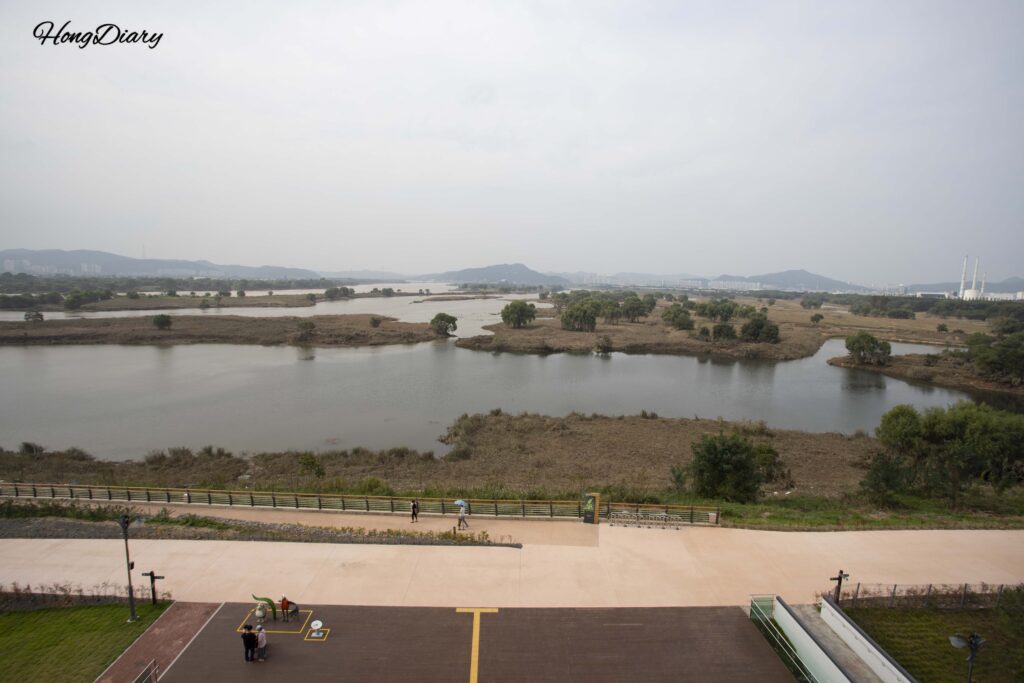 Vista panorámica del Humedal Dalseong desde la terraza de observación del centro de aprendizaje