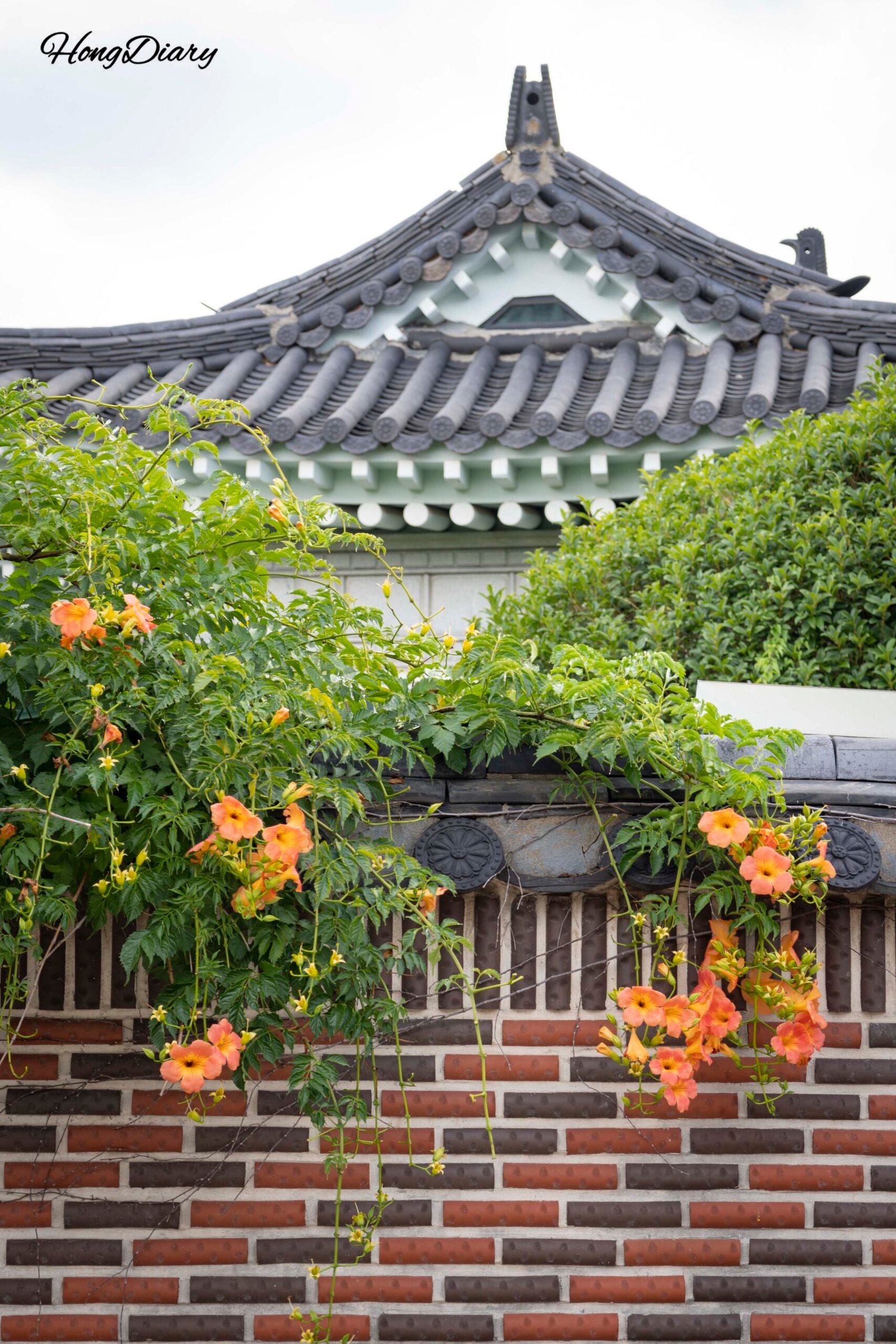 Detalle de un edificio hanok con flores en la entrada sobre la calle Hwangnidan-gil en Gyeongju