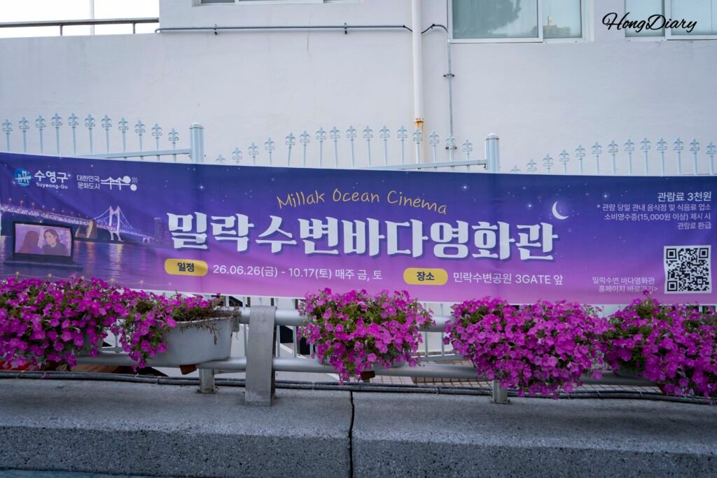 ミルラク水辺バダ映画館の告知ポスター(釜山・民楽水辺公園)