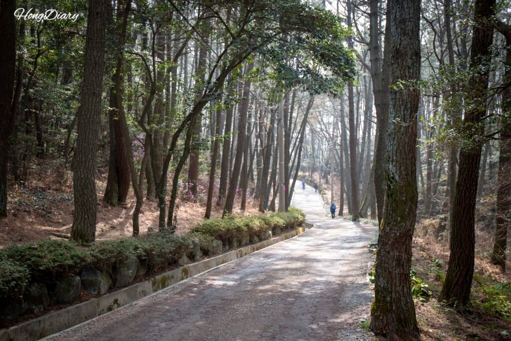 没雲台の入口から続く上り坂の散歩道