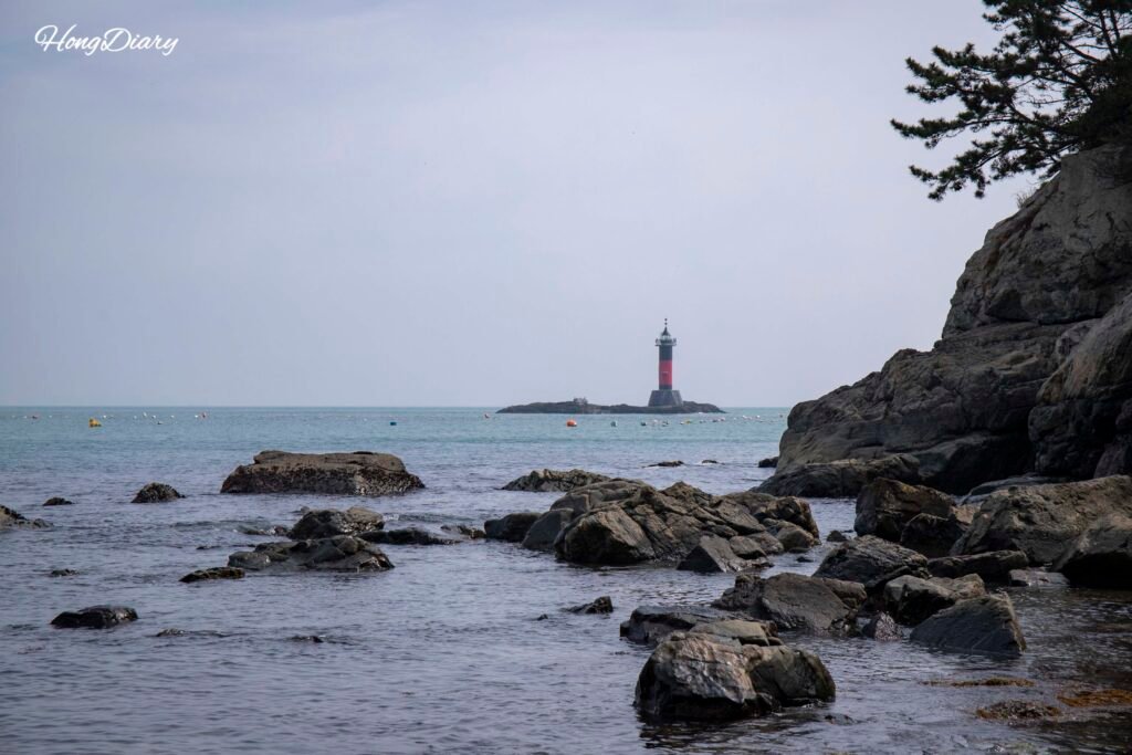 Molundae coastline with black pine trees, rocky cliffs, and lighthouse in the distance, Busan