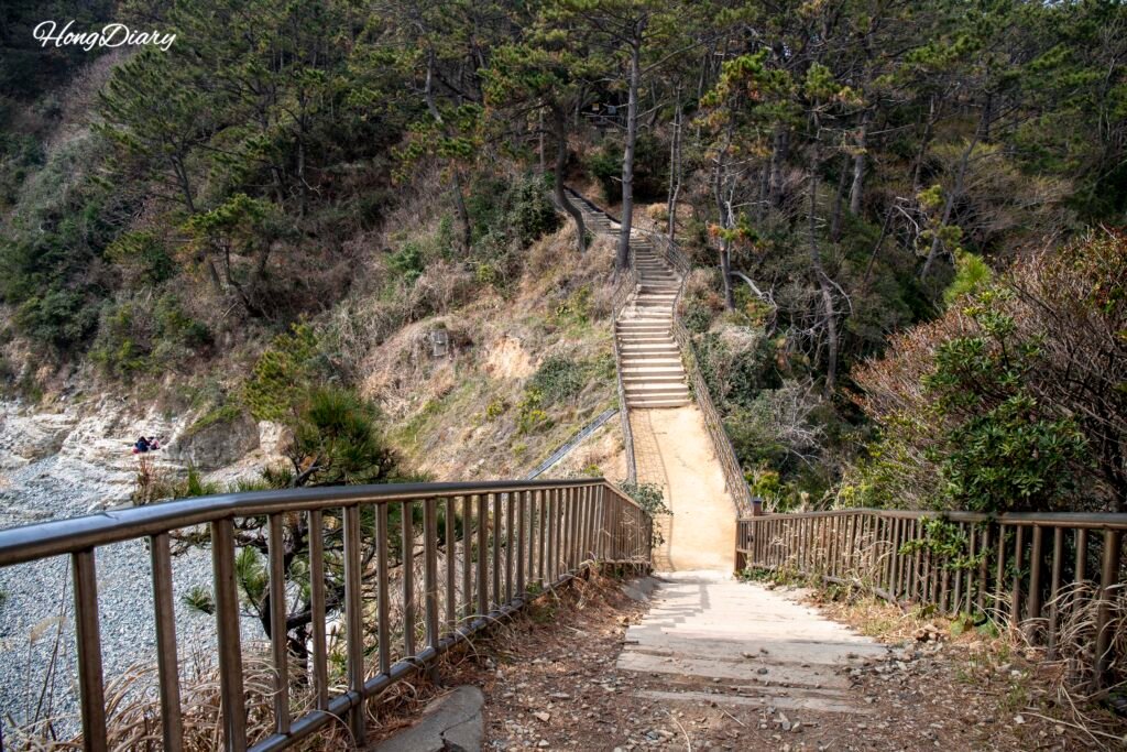 Wooden deck stairway leading down to the hidden beaches at Molundae, Busan