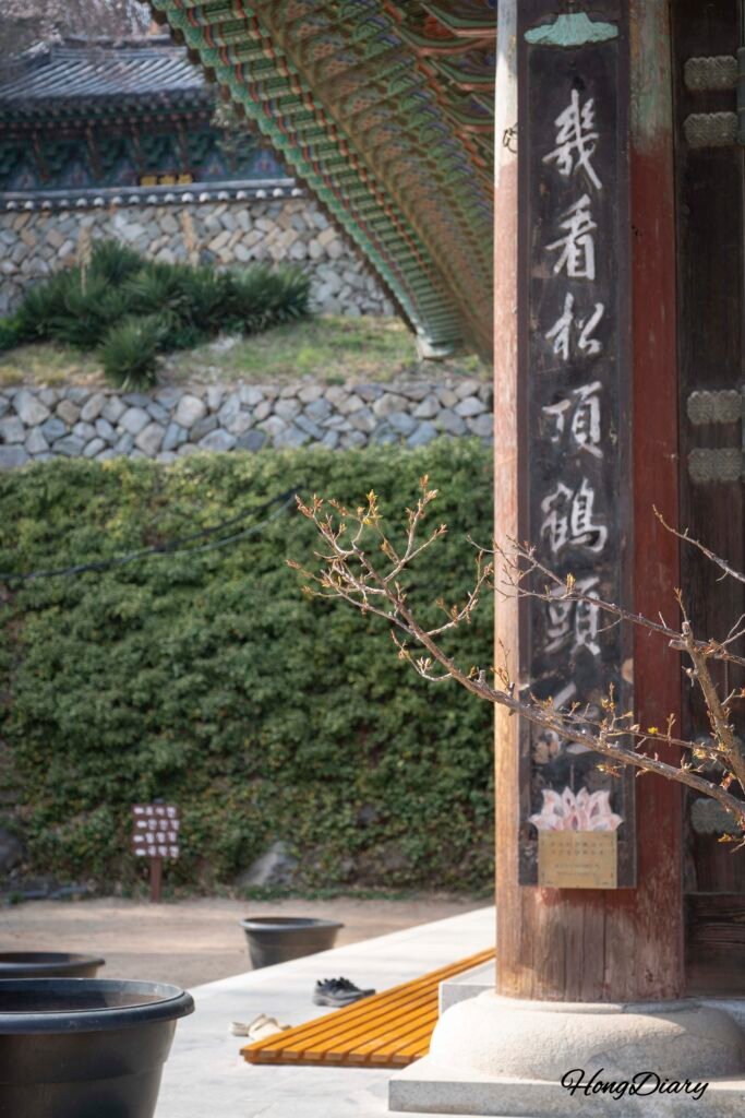 仙岩寺の境内で撮影した光と緑の風景