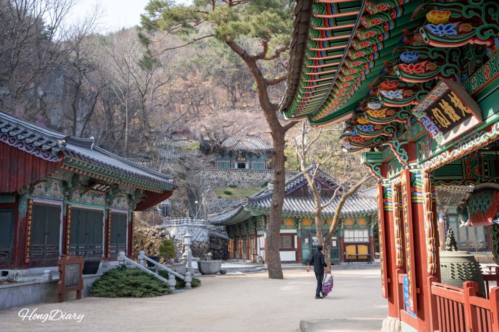 Stone path and traditional halls inside the grounds of Seonamsa Temple Busan