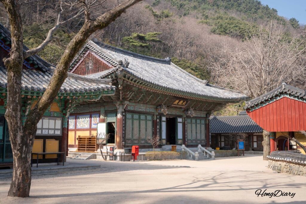 緑に包まれた仙岩寺の境内を散策する様子