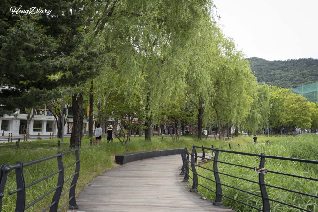 Daytime walking path along Suseongmot lake in Suseong-gu, Daegu