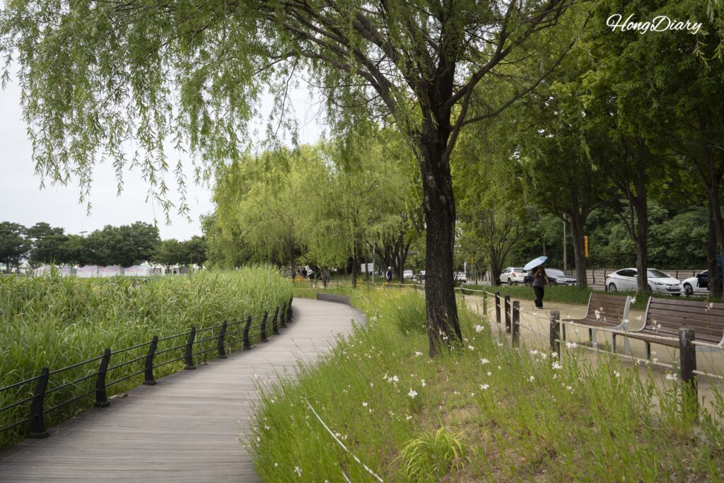 Sendero diurno junto al lago Suseongmot en Suseong-gu, Daegu