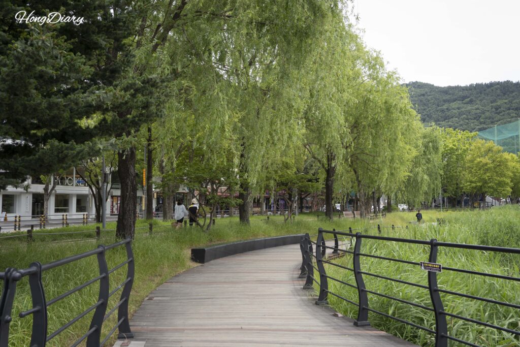 寿城池の湖畔散策路｜大邱・寿城区