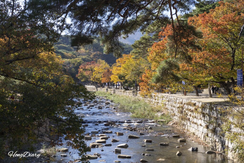 秋の紅葉に染まる通度寺周辺の山道（梁山市）