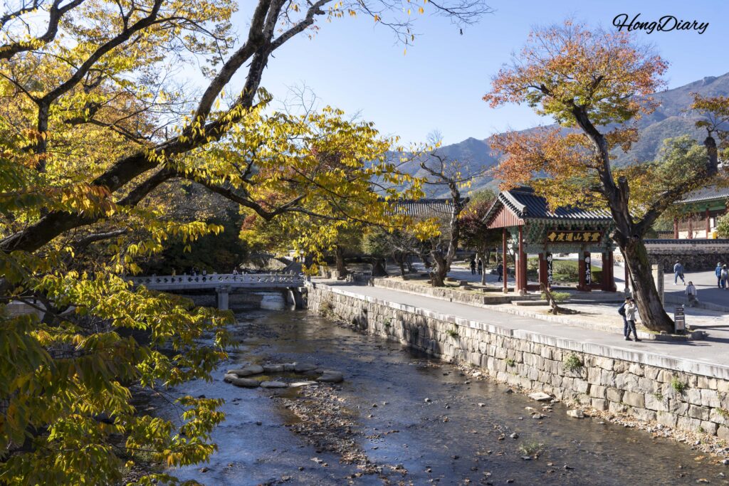 Autumn foliage surrounding Tongdosa Temple in Yangsan during October
