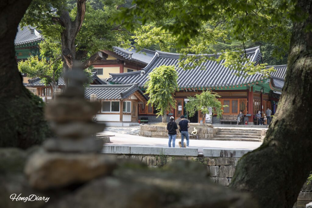 通度寺の渓流沿いで過ごす家族連れの訪問者