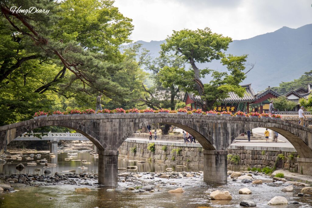 通度寺の参道沿いを流れる渓流と石橋