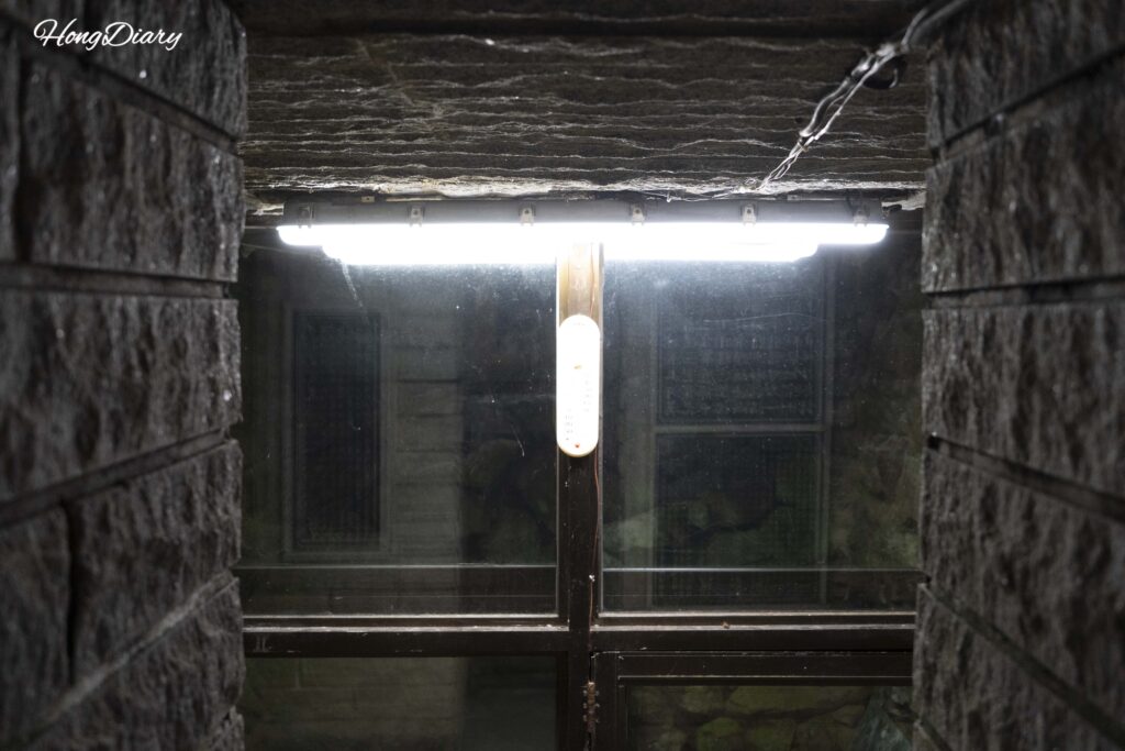 Detalle del hielo y musgo en la cueva de hielo del Valle Binggye, Uiseong