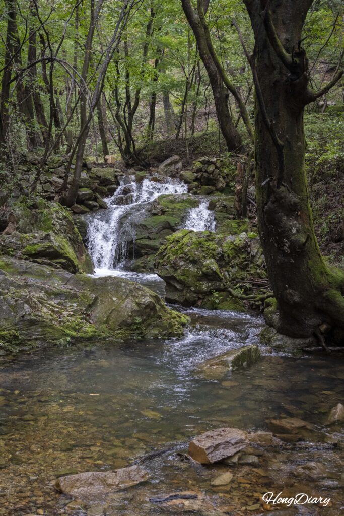 Rocas cubiertas de musgo junto a un arroyo en el descenso desde el templo Boseoksa