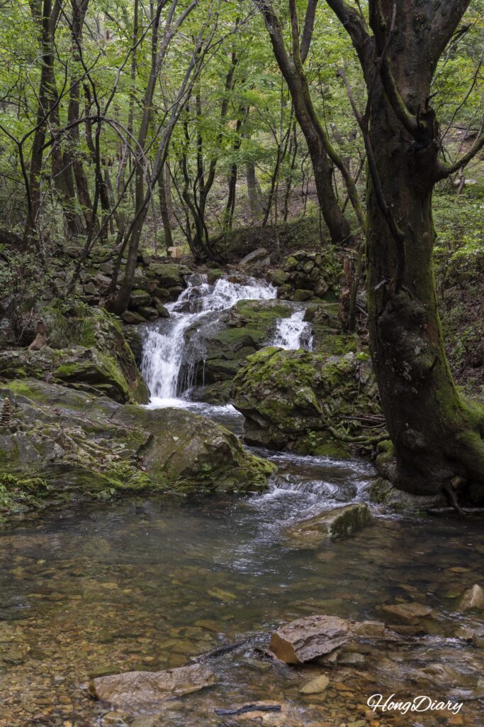 Moss-covered rocks along a stream valley on the descent from Boseoksa Temple