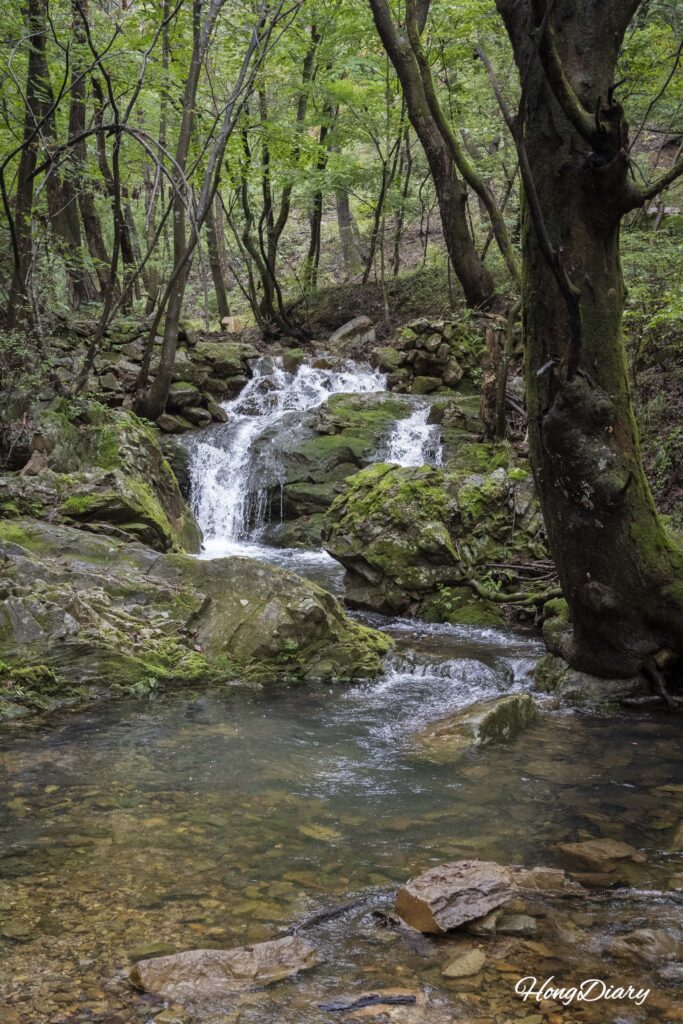 宝石寺からの帰路で見た苔に覆われた渓流の岩