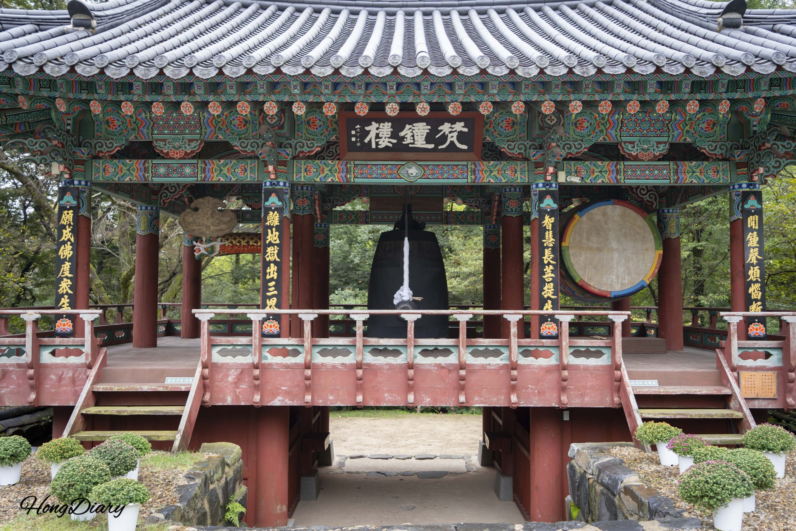 Boseoksa Temple in Geumsan — The Flower That Never Meets Its Own Leaves, a 1,000-Year-Old Tree, and Why I Arrived One Week Too Late