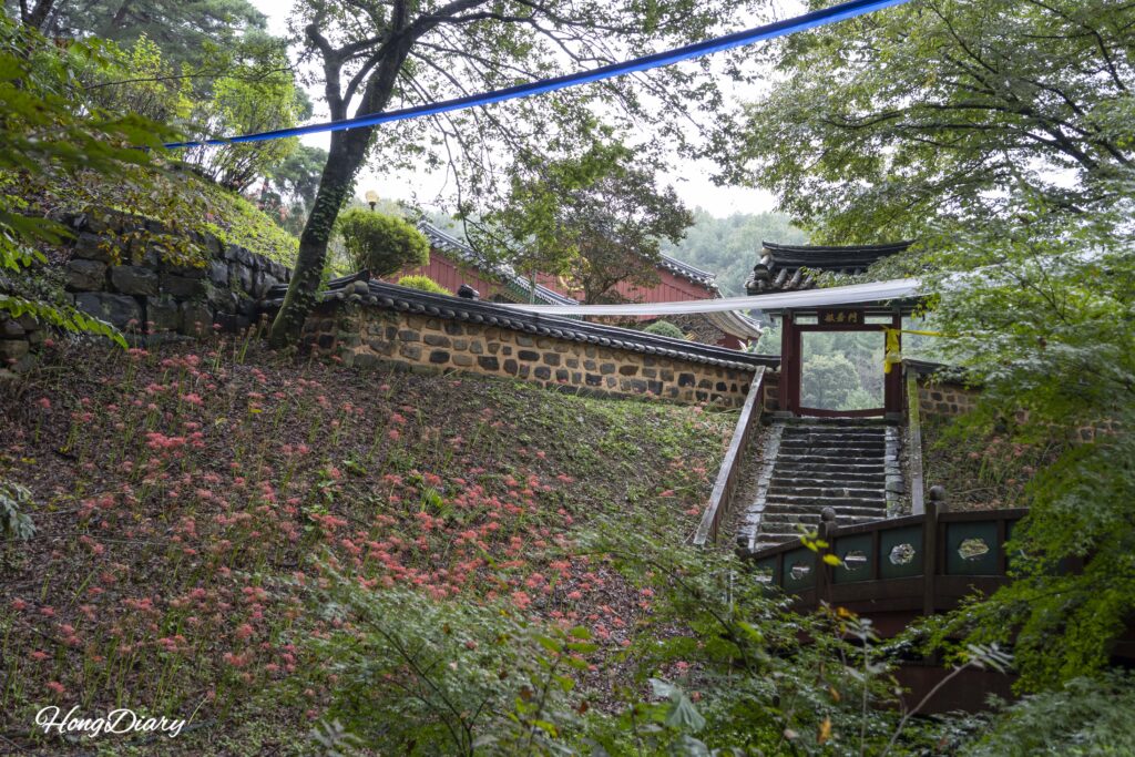 宝石寺本堂へ向かう上り坂の参道