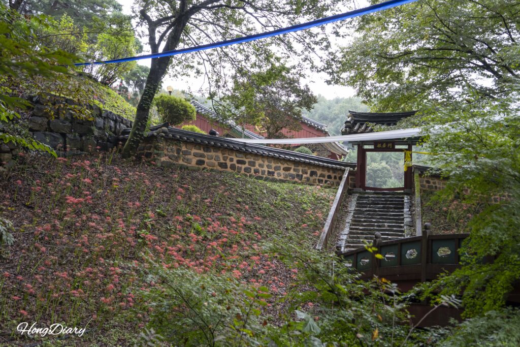 Stone path leading uphill to Boseoksa Temple grounds in Geumsan