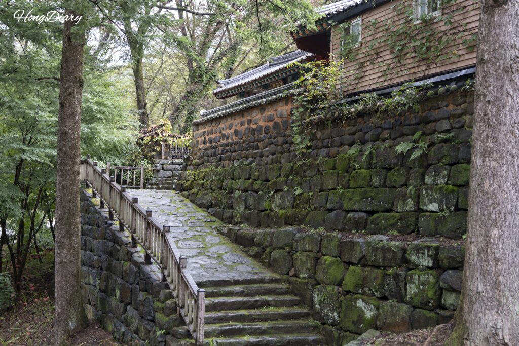 宝石寺境内へ向かう山道の別角度