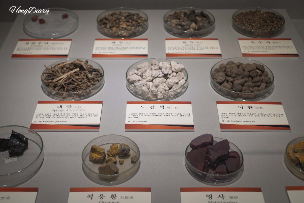 Display of rare herbal medicine specimens at the Daegu Yangnyeongsi Museum