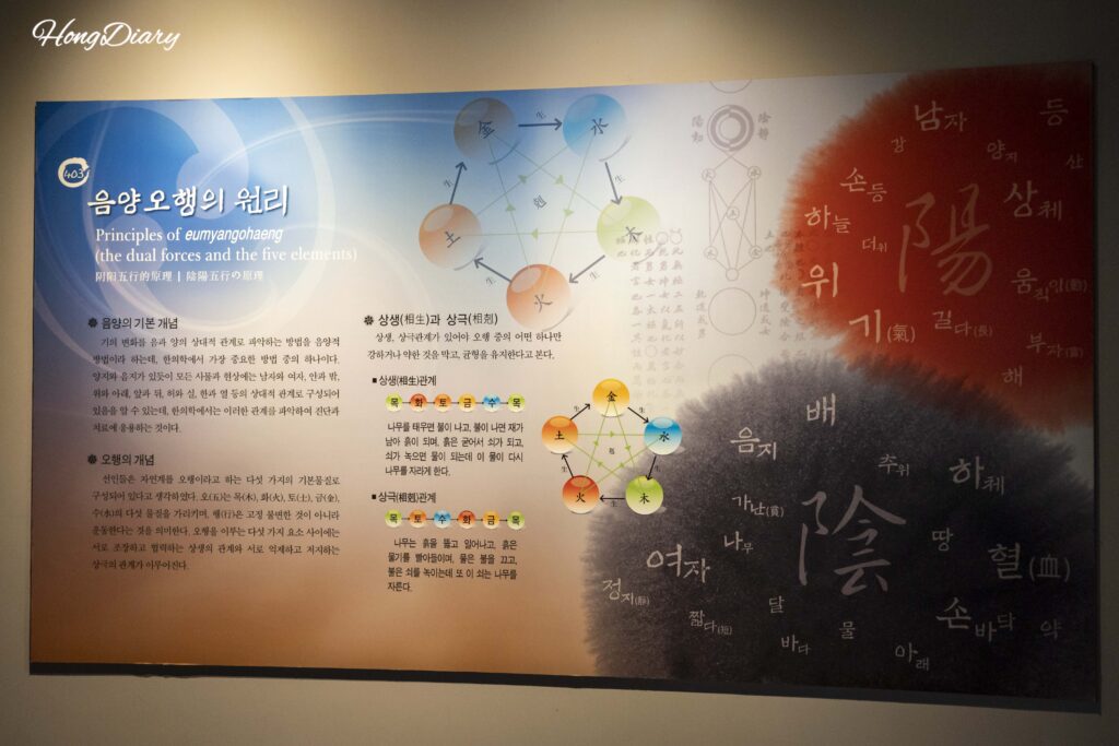 Illustrated display explaining yin-yang and five elements concepts at the Daegu Yangnyeongsi Museum