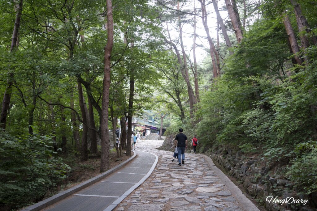 金烏山ケーブルカーの乗り場へ向かう緑に囲まれた上り坂の道