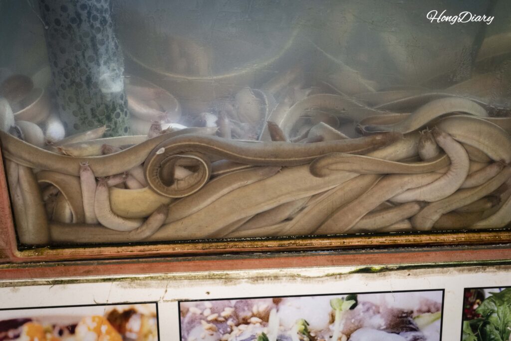 Live kkomjangeo (hagfish) in a tank at Haeundae Traditional Market in Busan