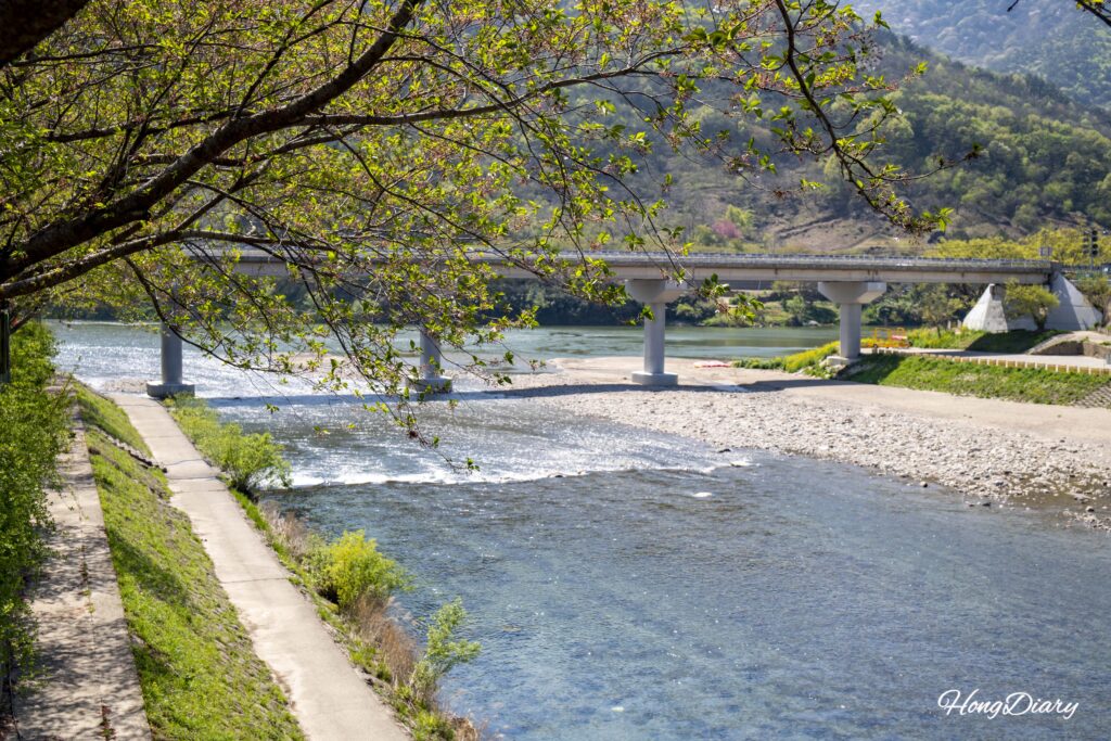 View of the Seomjin River from the walking path behind Hwagae Market
