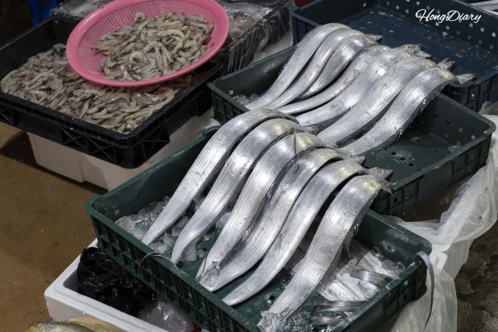 晋州中央市場の農水産物エリアに並ぶ新鮮な魚介類