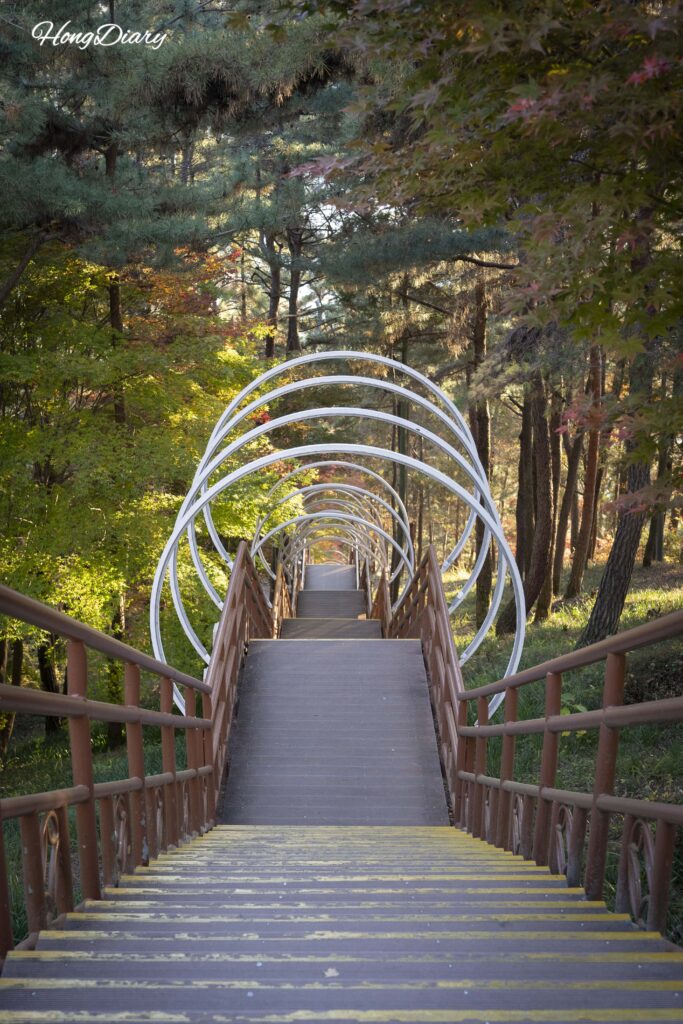 Wood stairs leading to the lakeside walking trail at Jinyangho Park in Jinju