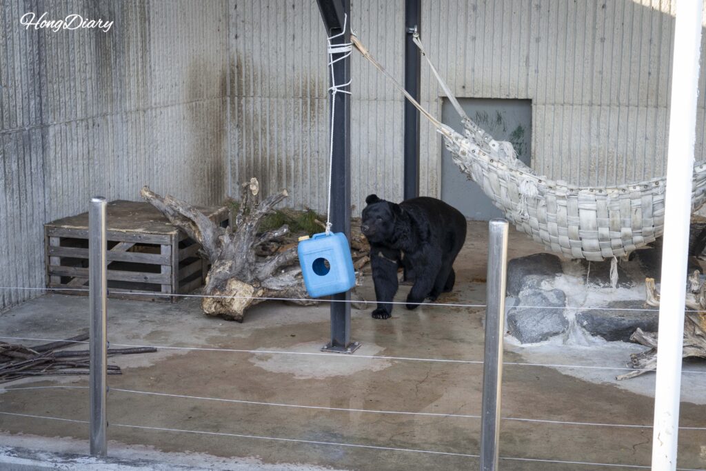 晋州・晋陽湖動物園のクマの飼育エリア