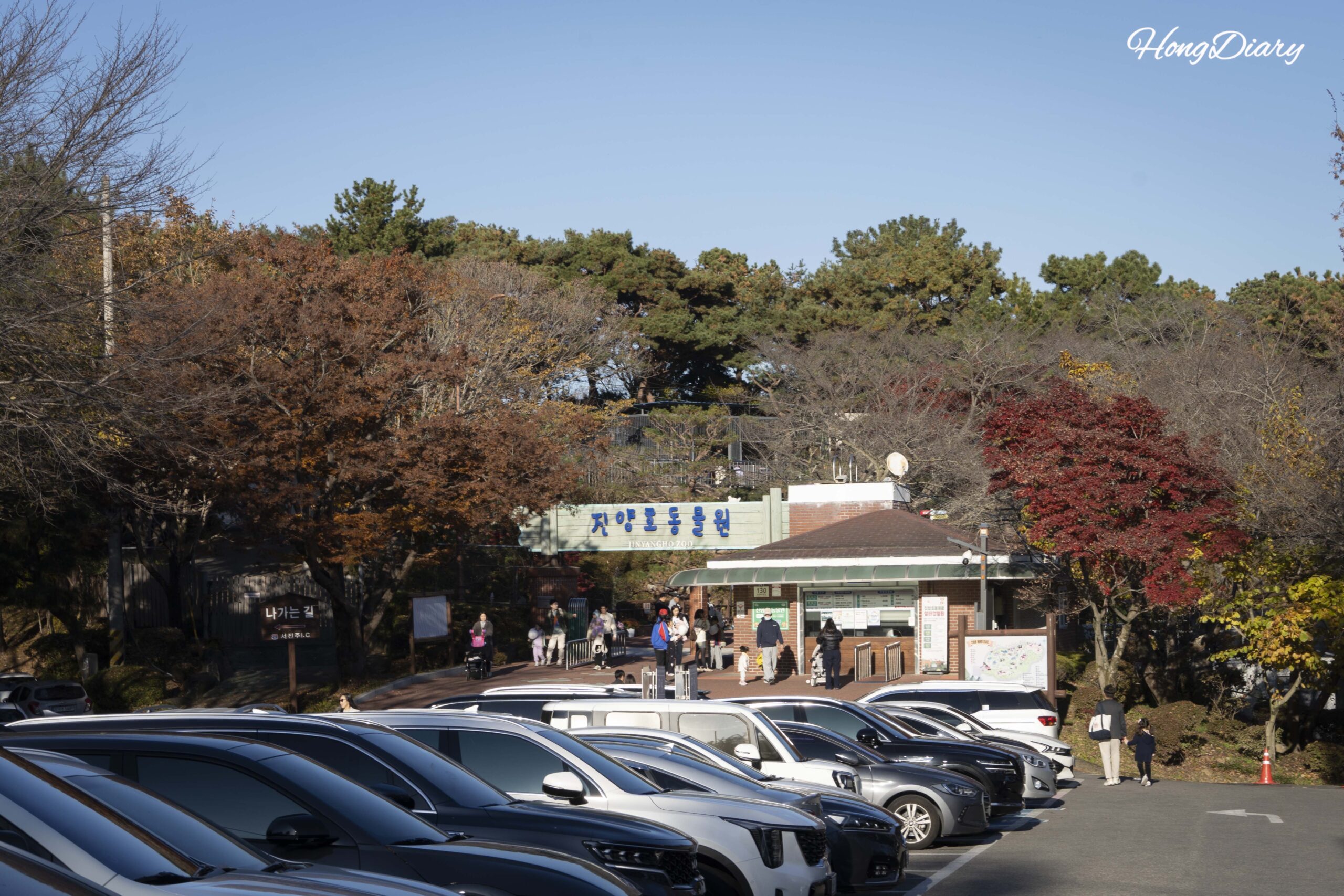 I Took My Kid to Jinyangho Zoo and Wished We’d Just Sat by the Lake — An Honest Visit to Jinyangho Park in Jinju